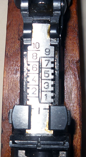 detail, SKS rear sight